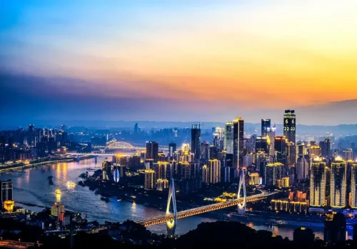 Exploring Auto Shipping Solutions with Lynx Auto Transport in Dallas, Texas